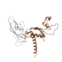 The deposited structure of PDB entry 3k7a contains 1 copy of CATH domain 3.30.1360.10 (Gyrase A; domain 2) in DNA-directed RNA polymerase II subunit RPB3. Showing 1 copy in chain C.