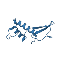 The deposited structure of PDB entry 3k7a contains 1 copy of CATH domain 3.90.940.10 (Eukaryotic RPB6 RNA polymerase subunit) in DNA-directed RNA polymerases I, II, and III subunit RPABC2. Showing 1 copy in chain E [auth F].