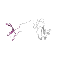 The deposited structure of PDB entry 3k7a contains 1 copy of Pfam domain PF02150 (RNA polymerases M/15 Kd subunit) in DNA-directed RNA polymerase II subunit RPB9. Showing 1 copy in chain G [auth I].