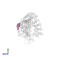 (2R)-2-hydroxy-3-[(2S,5R,6R,8S)-5-hydroxy-8-{(1R,2E)-3-[(2R,4a'R,5R,6'S,8'R,8a'S)-8'-hydroxy-6'-{(1S,3S)-1-hydroxy-3-[( 2S,6R,11S)-11-methyl-1,7-dioxaspiro[5.5]undec-2-yl]butyl}-7'-methylideneoctahydro-3H,3'H-spiro[furan-2,2'-pyrano[3,2-b]p yran]-5-yl]-1-methylprop-2-en-1-yl}-10-methyl-1,7-dioxaspiro[5.5]undec-10-en-2-yl]-2-methylpropanoic acid in PDB entry 3k7w, assembly 1, side view.