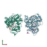 PDB entry 3k9v coloured by chain, front view.