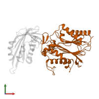 Protein phosphatase 2C 16 in PDB entry 3kb3, assembly 1, front view.