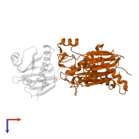 Protein phosphatase 2C 16 in PDB entry 3kb3, assembly 1, top view.