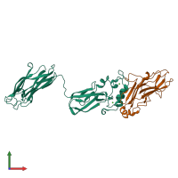 PDB entry 3kcp coloured by chain, front view.