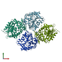 PDB entry 3kda coloured by chain, front view.