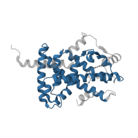 The deposited structure of PDB entry 3kdu contains 2 copies of Pfam domain PF00104 (Ligand-binding domain of nuclear hormone receptor) in Peroxisome proliferator-activated receptor alpha. Showing 1 copy in chain B.