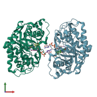 PDB entry 3kft coloured by chain, front view.