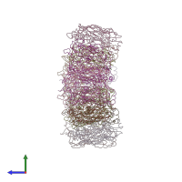 PDB entry 3kk5 coloured by chain, side view.