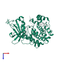 cAMP-dependent protein kinase catalytic subunit alpha in PDB entry 3kkv, assembly 1, top view.