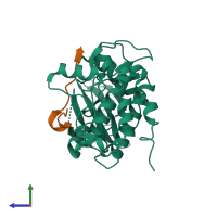 Hetero dimeric assembly 3 of PDB entry 3kl8 coloured by chemically distinct molecules, side view.