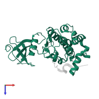 Calcium/calmodulin-dependent protein kinase type II in PDB entry 3kl8, assembly 2, top view.