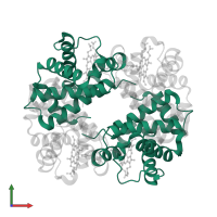 Hemoglobin subunit alpha in PDB entry 3kmf, assembly 1, front view.