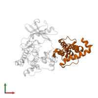 Alpha-parvin in PDB entry 3kmu, assembly 1, front view.