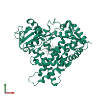 Cytochrome P450 2E1 in PDB entry 3koh, assembly 1, front view.