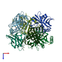 PDB entry 3kop coloured by chain, top view.