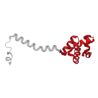 The deposited structure of PDB entry 3koz contains 4 copies of CATH domain 1.10.8.1000 (Helicase, Ruva Protein; domain 3) in D-ornithine 4,5-aminomutase subunit alpha. Showing 1 copy in chain B [auth E].