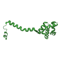 The deposited structure of PDB entry 3koz contains 4 copies of Pfam domain PF16552 (D-ornithine 4,5-aminomutase alpha-subunit) in D-ornithine 4,5-aminomutase subunit alpha. Showing 1 copy in chain B [auth E].