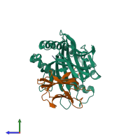 PDB entry 3kpq coloured by chain, side view.