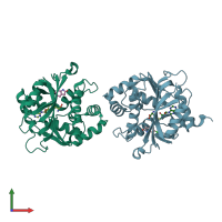 PDB entry 3kpy coloured by chain, front view.