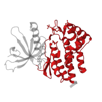 The deposited structure of PDB entry 3krr contains 1 copy of CATH domain 1.10.510.10 (Transferase(Phosphotransferase); domain 1) in Tyrosine-protein kinase JAK2. Showing 1 copy in chain A.