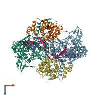 PDB entry 3ksb coloured by chain, top view.