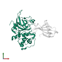 Cathepsin L in PDB entry 3kse, assembly 1, front view.