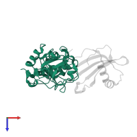 Cathepsin L in PDB entry 3kse, assembly 1, top view.