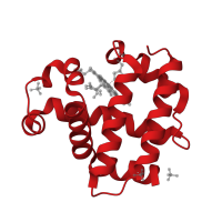 The deposited structure of PDB entry 3kuo contains 2 copies of CATH domain 1.10.490.10 (Globin-like) in Globin family profile domain-containing protein. Showing 1 copy in chain A.