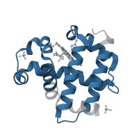 The deposited structure of PDB entry 3kuo contains 2 copies of Pfam domain PF00042 (Globin) in Globin family profile domain-containing protein. Showing 1 copy in chain A.