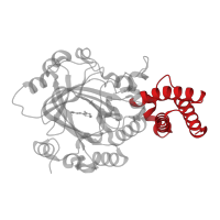 The deposited structure of PDB entry 3kvb contains 1 copy of CATH domain 1.20.58.1360 (Methane Monooxygenase Hydroxylase; Chain G, domain 1) in Lysine-specific demethylase 7A. Showing 1 copy in chain A.