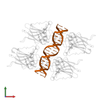 DNA (5'-D(*TP*GP*GP*GP*CP*AP*TP*GP*CP*CP*CP*GP*GP*GP*CP*AP*TP*GP*CP*CP*C)-3') in PDB entry 3kz8, assembly 1, front view.