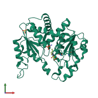 PDB entry 3l04 coloured by chain, front view.