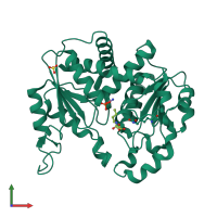 PDB entry 3l05 coloured by chain, front view.