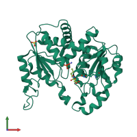 PDB entry 3l06 coloured by chain, front view.