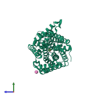 PDB entry 3l1l coloured by chain, side view.