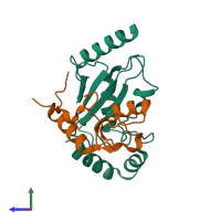 PDB entry 3l1z coloured by chain, side view.