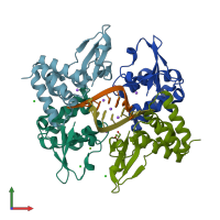 PDB entry 3l25 coloured by chain, front view.