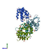 PDB entry 3l27 coloured by chain, side view.