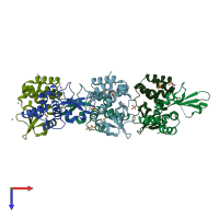 PDB entry 3l28 coloured by chain, top view.