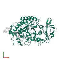 Pancreatic alpha-amylase in PDB entry 3l2m, assembly 1, front view.