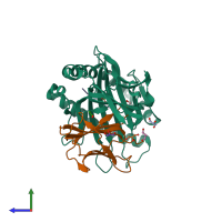 PDB entry 3l3g coloured by chain, side view.