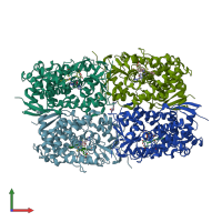PDB entry 3l4d coloured by chain, front view.