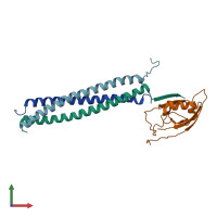 PDB entry 3l4f coloured by chain, front view.