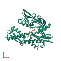 Monomeric assembly 1 of PDB entry 3l4i coloured by chemically distinct molecules, front view.