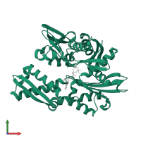 Heat shock 70 (HSP70) protein in PDB entry 3l4i, assembly 2, front view.