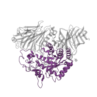 The deposited structure of PDB entry 3l4t contains 1 copy of CATH domain 3.20.20.80 (TIM Barrel) in Maltase-glucoamylase. Showing 1 copy in chain A.