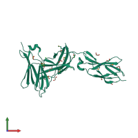 PDB entry 3l5i coloured by chain, front view.