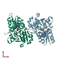 PDB entry 3l6c coloured by chain, front view.