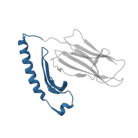 The deposited structure of PDB entry 3l6f contains 1 copy of CATH domain 3.10.320.10 (Class II Histocompatibility Antigen, M Beta Chain; Chain B, domain 1) in HLA class II histocompatibility antigen, DR alpha chain. Showing 1 copy in chain A.