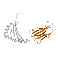 The deposited structure of PDB entry 3l6f contains 1 copy of CATH domain 2.60.40.10 (Immunoglobulin-like) in HLA class II histocompatibility antigen, DRB1 beta chain. Showing 1 copy in chain B.